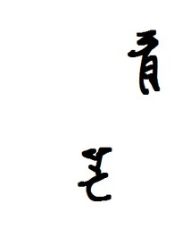 青盲电视剧免费全集剧情